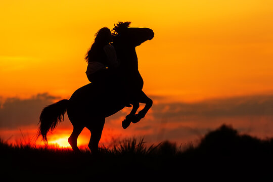 beautiful woman with long hair on horse who rears up on his hind legs against the sunset