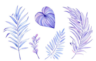 exotic leaves, indigo colors. Watercolor set of plants on an isolated background.