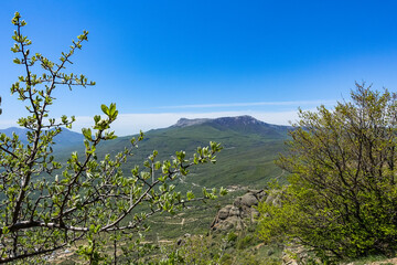 View of the Chatyr-Dag plateau from the top of the Demerdzhi mountain range in Crimea. Russia.