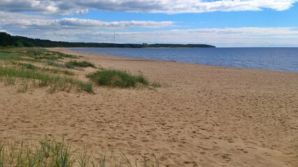 Sandy beach with grass, sea, coniferous forest