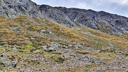 Rocky hill with mosses and lichens