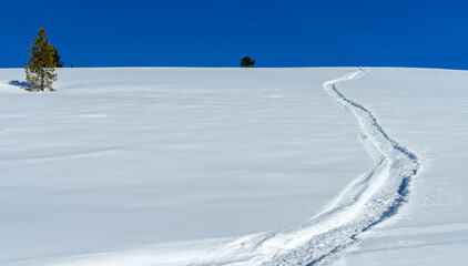 Fototapeta na wymiar Snowmobile trail in snow leads to deep blue sky above