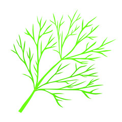 Fototapeta na wymiar Green dill branch for logo, icon