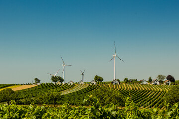 Alternative energy. The energy of the future. Wind generators in the village. Grape plantations.