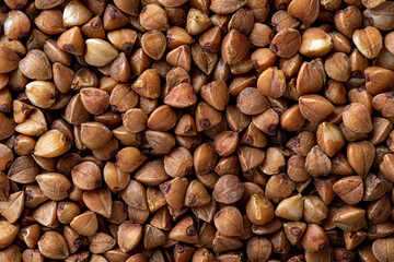 Organic buckwheat groats macro background. Roasted dry buckwheat grains texture close-up. Wholegrain buckwheat seeds for gluten free diet, vegetarian food and dietary fiber concepts.