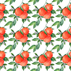 Seamless watercolor pattern with oranges on a branch. watercolor illustration, citrus fruits collection, botanical illustration