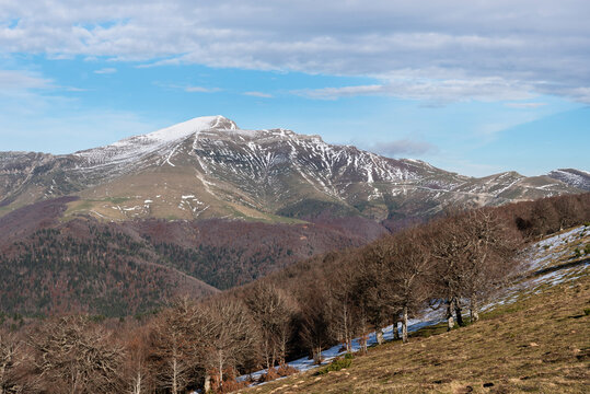 Orhi Peak and limits of the Irati Forest
