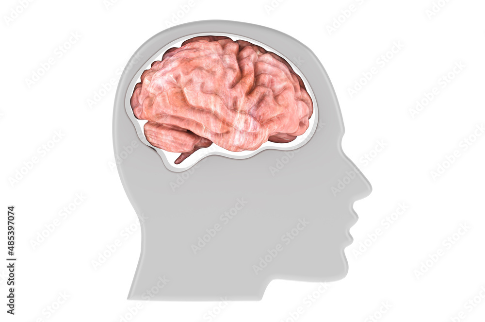 Poster head with brain, 3d rendering