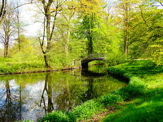 bridge over the river and reflection of trees in river