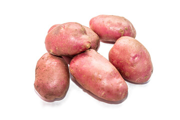 Potatoes on a white background. Varietal potatoes from the garden at the dacha. Scarlet Potatoes.