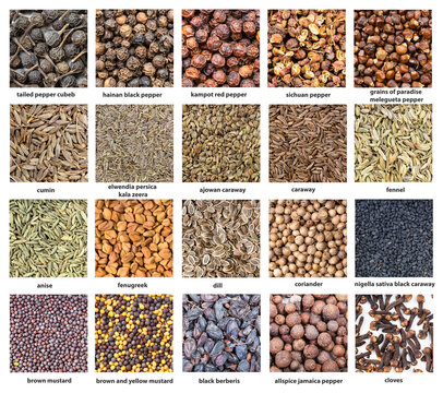 various flavoring seeds with names close up