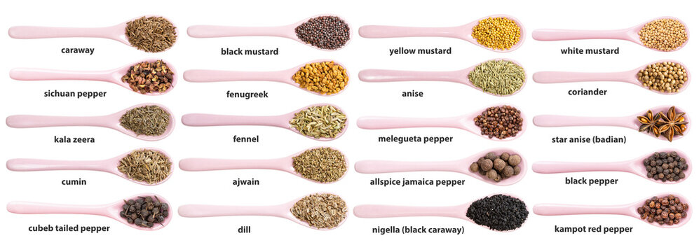 set of ceramic spoons with various spicy seeds