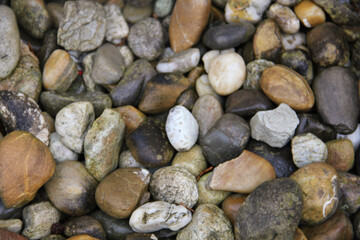 Stones at the beach