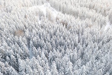Spruce forest on the north, beautiful aerial top view. Amazing winter scene. Christmas theme. Winter background.
Winter forest aerial view. Amazing nature landscape.