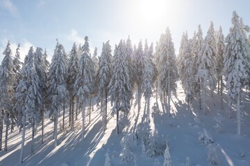 Spruce forest on the north, beautiful aerial top view. Amazing winter scene. Christmas theme. Winter background.
Winter forest aerial view. Amazing nature landscape.