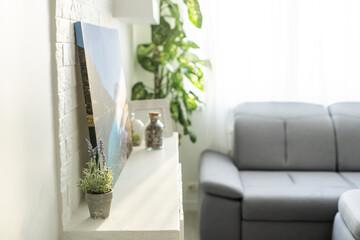 Dieffenbachia or Dumb cane plant in a white flower pot on a white table in daylight room with bookcase, minimalist and scandinavian style.