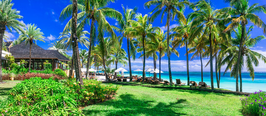Tropical paradise beach with white sand and palm trees. Luxury resorts of Belle Mare, Mauritius island