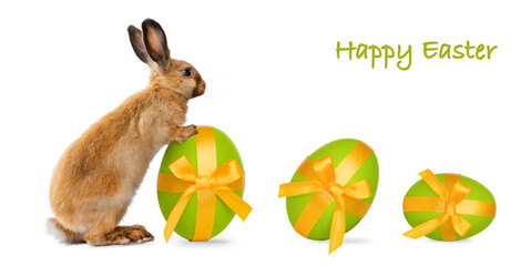Isolated Orange rabbit stands on its hind legs. Rabbit collects easter eggs