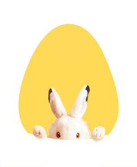White easter rabbit with sheet for a text writing. Easter concept.