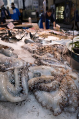 Octopus in open seamarket