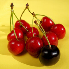 juicy red cherries lying on a yellow background, side view. summer berries