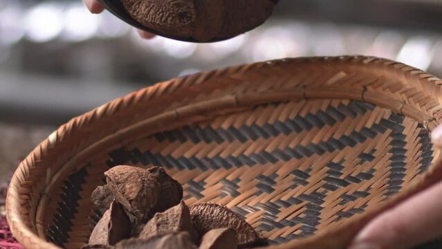 Pouring Brazil nuts harvested from sustainable organic farms in the Amazon rainforest into a basket