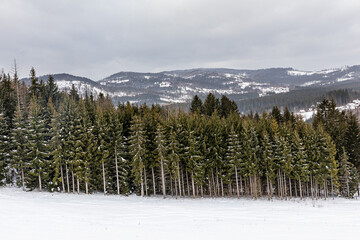Zimowy górski krajobraz