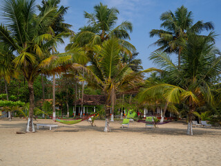 Beach and palm trees near village in Kerala India.