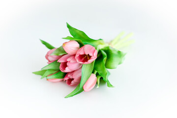 bouquet of tulips on a white background, pink tulips