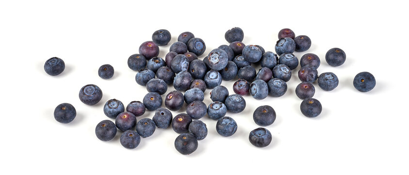 Blueberries, isolated on white background.