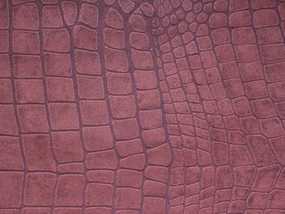 Close up of black Crocodile,Alligator belly skin texture use for wallpaper background.Luxury Design pattern for Business and Fashion.Top view surface in backdrop.