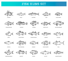 Vector set of fish. Types marine, ocean fish and Freshwater fish