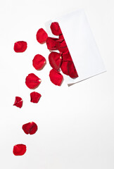 White envelope full of petals of red roses on a light background. Minimal romantic composition. Flat lay. Love concept.