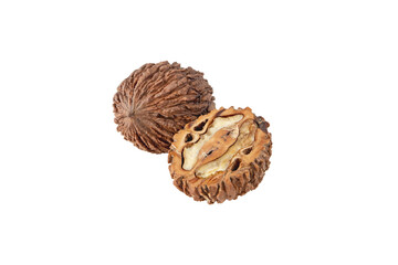 Black wallnut fruits isolated on white