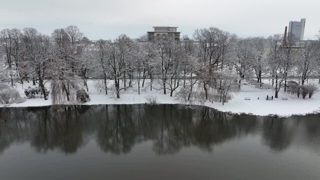 Winter Trees at water lake - Chemnitz Schlossteich Park Castle Snow - Germany Saxony DJI Mavic 3 Cine Footage