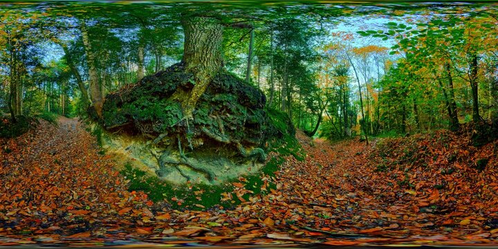Gouesnach, Pors Meillou, Odet, heaven and earth, roots, trunks, branches, trees, leaves, 7473