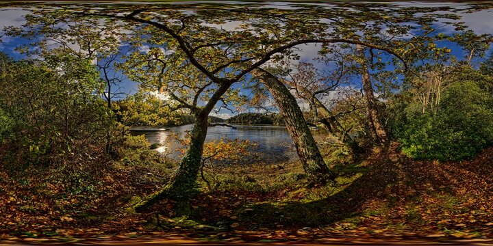 Gouesnach, Pors Meillou, Odet, sun, heaven and earth, roots, trunks, branches, trees, leaves  7393