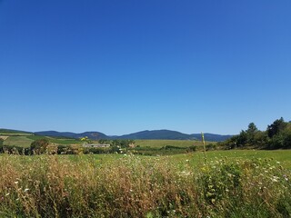 Chillout with nature