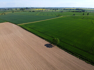 Agriculture lowland in spring, aerial view, Zulawy Wislane, Poland