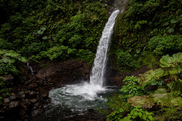 A waterfall in Costa Rica 