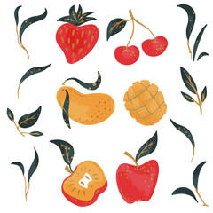 Decorative flat set of fruits with texture separated collection. Watermelon, orange clementine, pineapple, red berry and grape with variation of emerald leaves isolated vector on white background