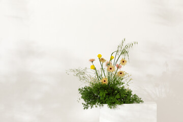 Early Spring floral arrangement bouquet of fresh flowers against white wall. The concept of inspiration, congratulations, spring season, studio flower decoration.