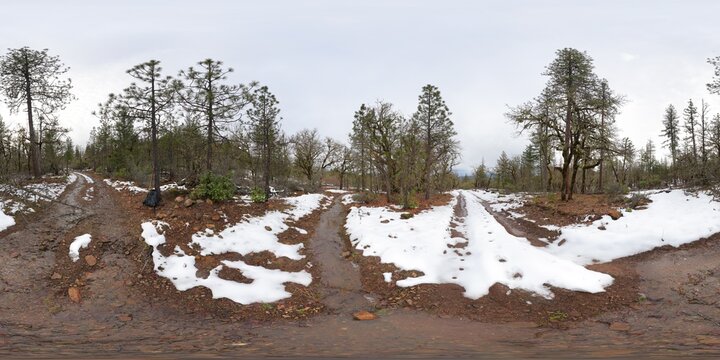 BLM road