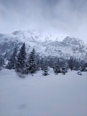 Winter near Morskie Oko Tatras Mountains