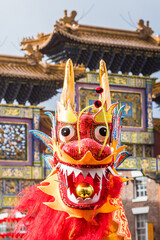 Chinese Dragon up close