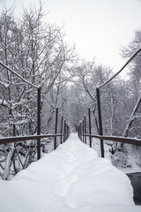 The winter landscape with snow brige
