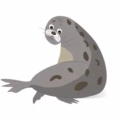 Tuinposter Vector illustration of sad fur seal. Isolated cartoon character. Cute and funny animal © Albina
