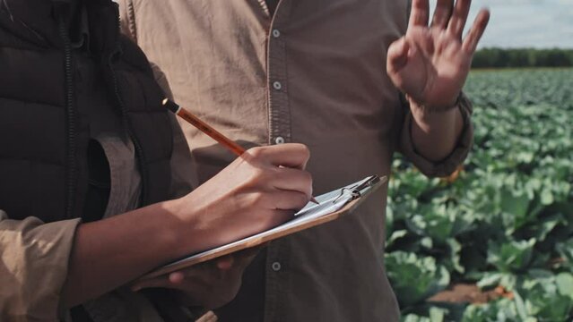 Medium section shot footage of unrecognizable farmer and female worker standing outdoors discussing plans and making notes