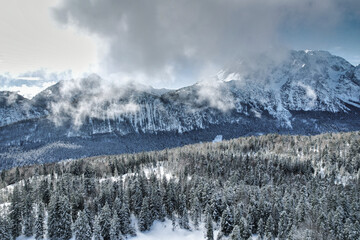 Wetterstein - winter landscape with snow covered mountains, forest and clouds in the sky