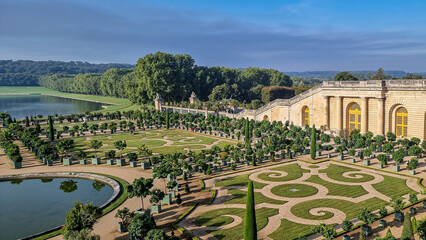 A Beautiful shot of green plants and grass in Gardens of Versailles under the sun